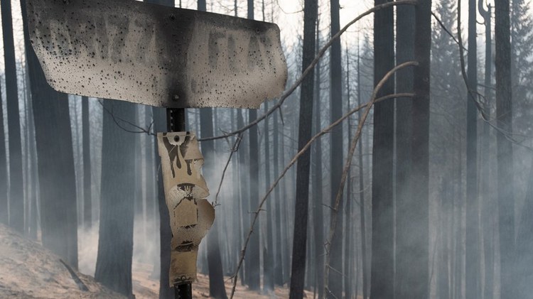A stalled U.S. Forest Service project could have protected Grizzly Flats, California, from Caldor Fire destruction.